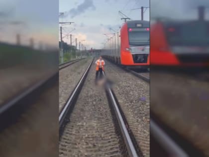 В Смоленском районе скоростной поезд насмерть сбил мужчину