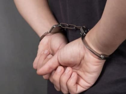 Двое смолян "подшофе" украли сумку из квартиры, когда вышел хозяин