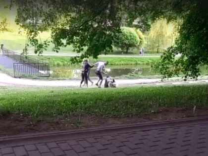 Житель Смоленска жестоко избил мужчину в парке
