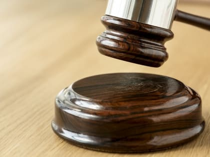 В Смоленской области суд оштрафовал гражданина Беларуси, перевозившего нелегалов через границу