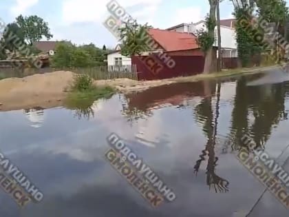 Есть пострадавшие. Под Смоленском произошло жуткое ДТП с такси