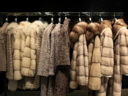 Цены на меховую одежду в России за три месяца выросли на треть