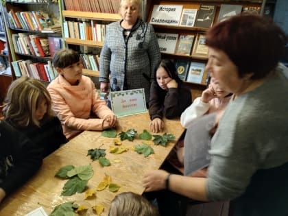 Беседа «Волшебный мир леса»