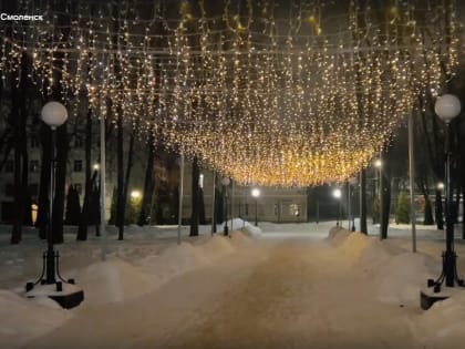 Василий Анохин показал итоги реализации светового мастер-плана Смоленска