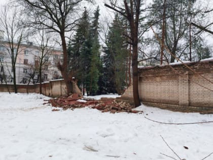 «Рухнувшая крепостная стена» в Смоленске оказалась кирпичным забором