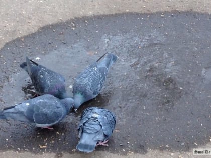 В Смоленской области продлили жёлтый уровень погодной опасности