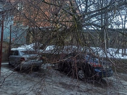 В Смоленске объявлен «желтый» уровень опасности