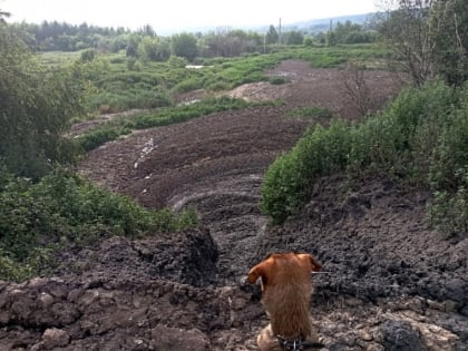 Жители смоленского микрорайона жалуются на невыносимую вонь