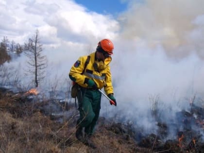 Появилось видео по итогам субботника в Смоленске