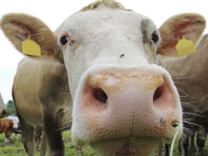 Смоленская область получила федеральное софинансирование на поддержку региональных НКО