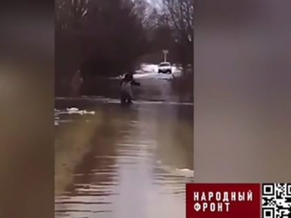 В Смоленской области устранят проблему с подтоплением дороги после стрима ОНФ