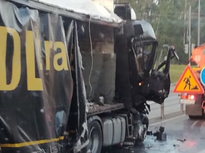 В Смоленской области в ДТП разбились фуры