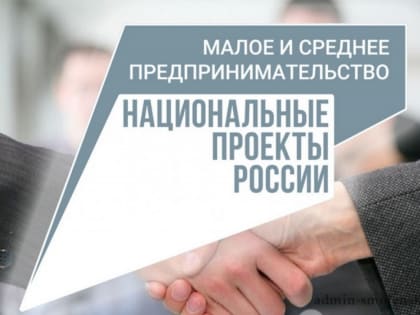 Проект «Малое и среднее предпринимательство и поддержка индивидуальной предпринимательской инициативы»
