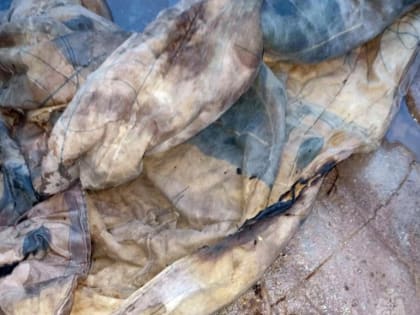 Смелый житель Смоленска рискнул и спас своего соседа