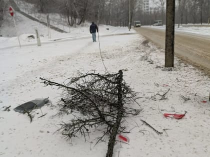 «Повалило 247 деревьев и сорвало 27 проводов ЛЭП». В Смоленской области оперативно ликвидируют последствия снегопада
