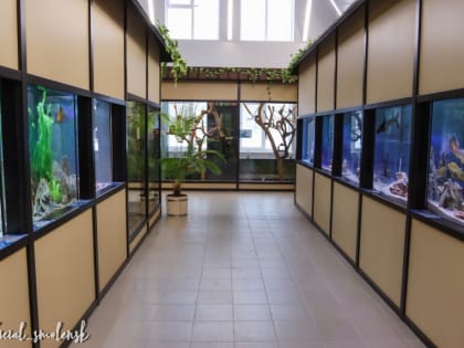 В Эколого-биологическом центре Смоленска открылся выставочный зал