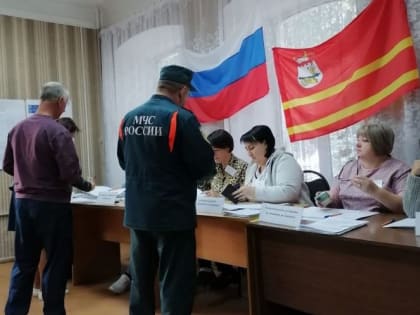 Названа явка в Смоленской области после двух дней голосования