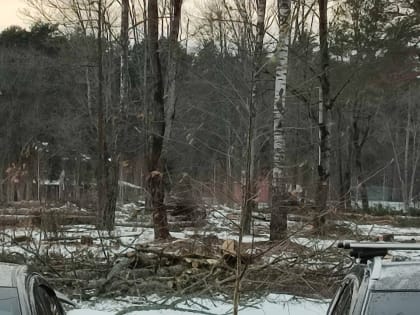 Власти Смоленска отклонили проекты планировки и межевания под застройку в Красном Бору