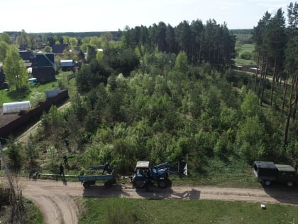 Демидовские лесные пожарные присоединились к акции «Сад Победы»