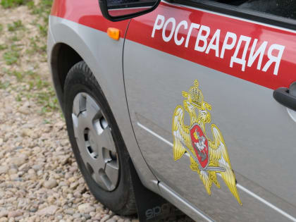 Житель Дорогобужа пытался украсть бензопилу