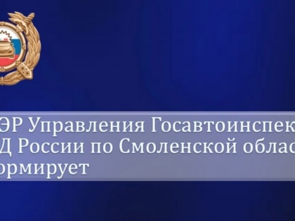 Как будут работать подразделения смоленской Госавтоинспекции в Новогодние праздники