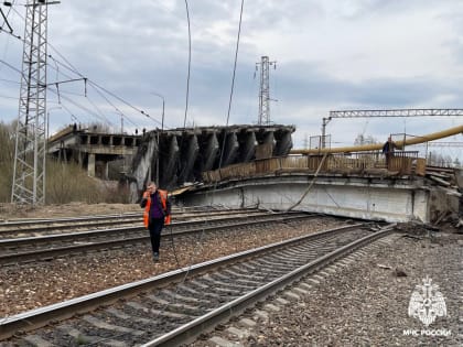 Василий Анохин: В Вязьме обрушилось шесть пролетов моста