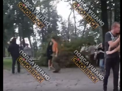 Под Смоленском 66-летний мужчина пропал в лесу