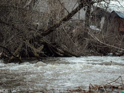 В Смоленске река Днепр поднялась более чем на 30 см