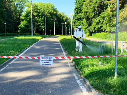 В Смоленской области более семидесяти человек пострадали от укусов клещей за неделю