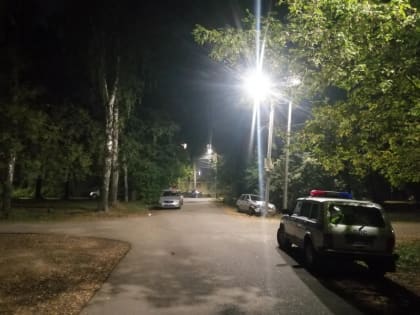 ДТП в Смоленске: женщина пострадала при наезде на световую опору