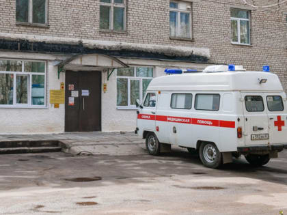 В Смоленске бригада скорой не смогла зайти в квартиру к пациентке без кинологов
