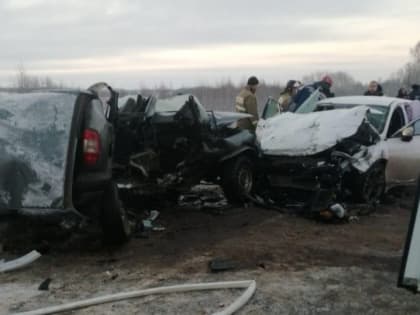 В Смоленске полицейские возбудили дело за оскорбление чувств верующих