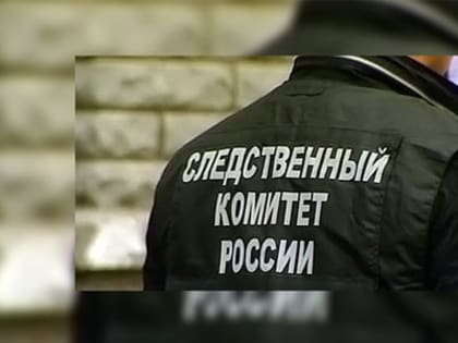 Перед судом предстанет жительница Смоленской области, обвиняемая в применении насилия в отношении следователя МВД
