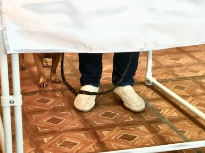 В Смоленской области женщины-избиратели «победили» мужчин