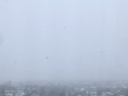 На Смоленщине действует жёлтый уровень погодной опасности из-за ветра