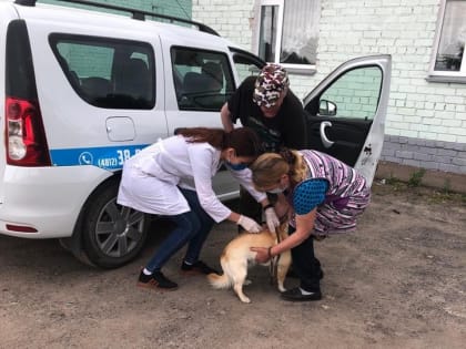 Под Смоленском иномарка сбила пешехода