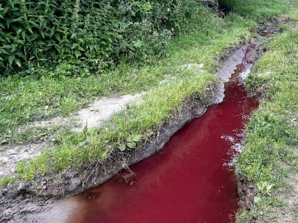 Заместитель главы Минстроя РФ подарил необычный подарок 12-летней смолянке