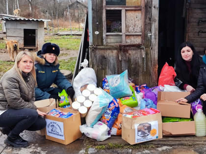 Смоленские атомщики организовали волонтерскую акцию в поддержку животных
