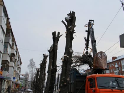 В Смоленске началась формовочная обрезка деревьев