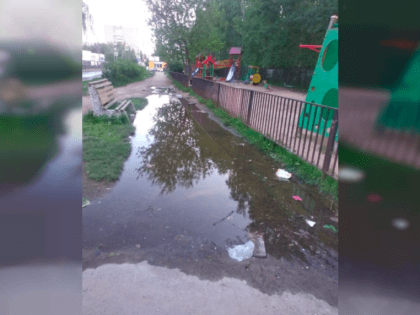 На площадку и в сад только вплавь: смоляне жалуются на состояние “бесхозной” территории