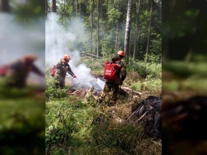 В Смоленской области спрогнозировали высокую опасность пожаров
