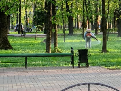 В областном центре продолжается противоклещевая обработка