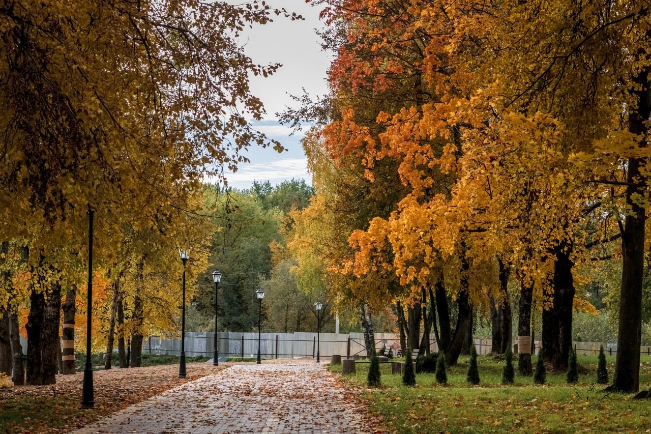 парк соловьиная роща курск