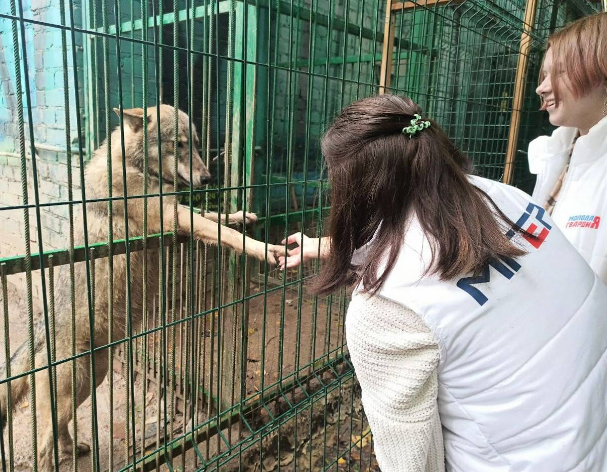 Смоленск приют для животных верность. Приют для животных. Защита животных. Приют для животных верность Смоленск. Приют для животных Смоленск.