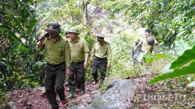 Kiên quyết ngăn chặn các hành vi xâm hại rừng