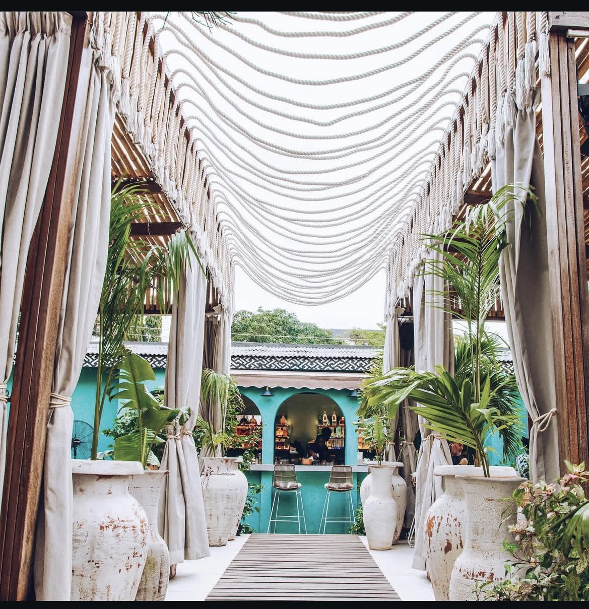VINE RESTAURANT