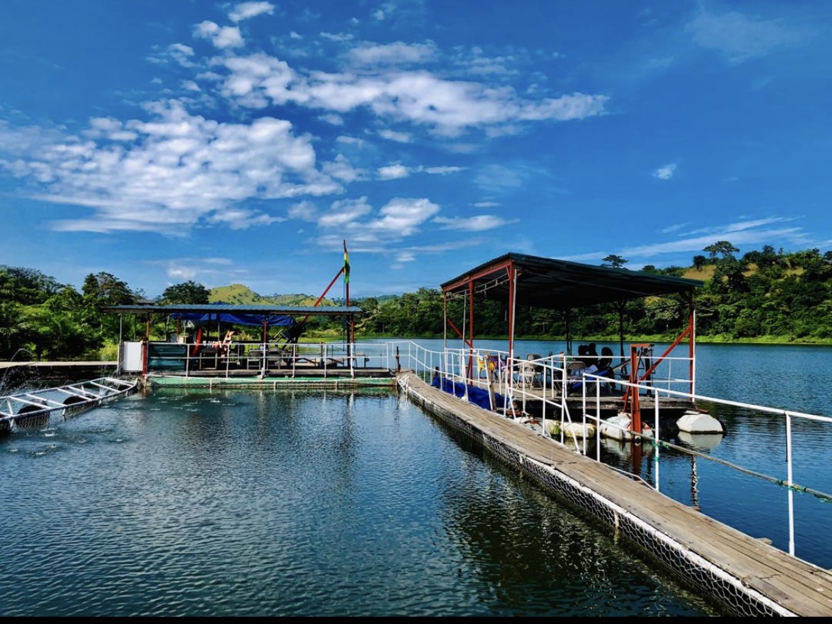 THE FLOAT RESORT