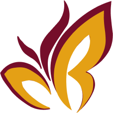 Butterfly Element