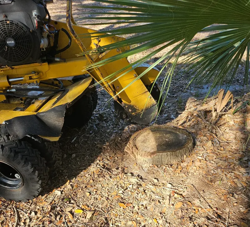 Stump Grinding Project