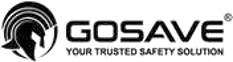 GOSAVE